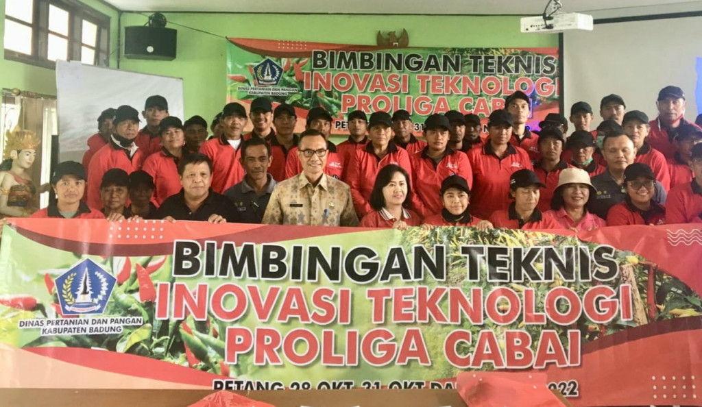 Tingkatkan Produksi, Petani Cabai di Badung dilatih Teknik Proliga
